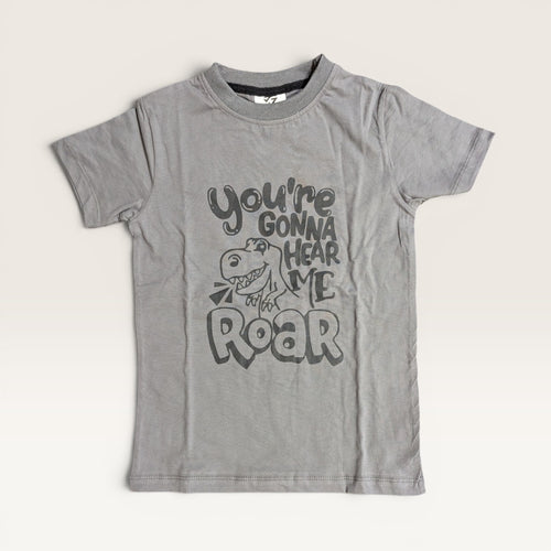Dino Roar Kids T Shirt Shorts Set